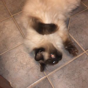 Meet your Posher, April